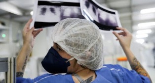 Síndromes respiratórias se aproximam de menor patamar da Pandemia.