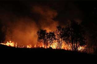 Fogo na Amazônia: Ibama identifica 1.664 focos de fogo e reforço de brigadistas.