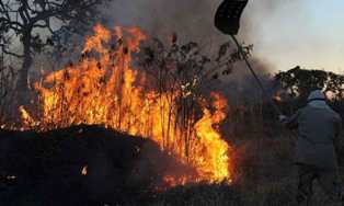 Roraima tem 22% dos focos de queimadas de todo o país no governo Lula!