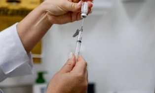 Governo Lula: Ministério alerta para alta de casos de febre amarela em 4 Estados.