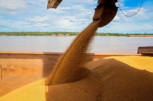 Rondônia celebra maior crescimento da produção agrícola do país.