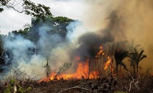 Governo Lula: Alerta de desmatamento na Amazônia cresce e “preocupa” governo.