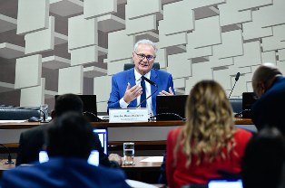 CAE quer saber sobre empréstimos nacionais feitos por Estados e Municípios.
