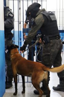 Rondônia integra oitava fase da Operação nacional de revistas em unidades prisionais.