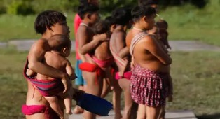 Ministério da Saúde confirma duas mortes em pouso forçado em Terra Yanomami.