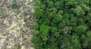 Congresso quer recriar PL do Licenciamento Ambiental com emendas.