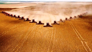 Ranking Brasil: Sorriso – MT, tem maior PIB agrícola do país.