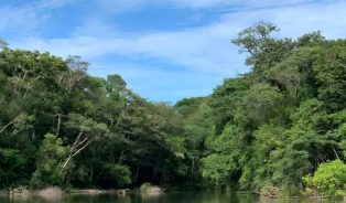 Rondônia: Governo disponibiliza Link para Requerimento de regularização ambiental.