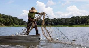 Ministério da Pesca cancela mais de 76 mil Licenças de pescadores.
