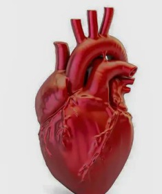 Uma pessoa morre por doença cardiovascular a cada 72 segundos no Brasil.